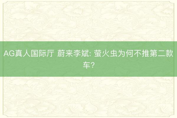 AG真人国际厅 蔚来李斌: 萤火虫为何不推第二款车?