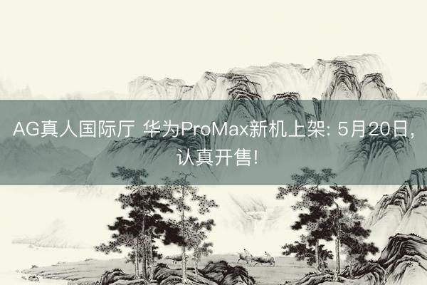 AG真人国际厅 华为ProMax新机上架: 5月20日， 认真开售!