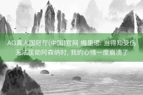 AG真人国际厅(中国)官网 梅里诺: 当得知受伤无法匡助阿森纳时， 我的心情一度崩溃了