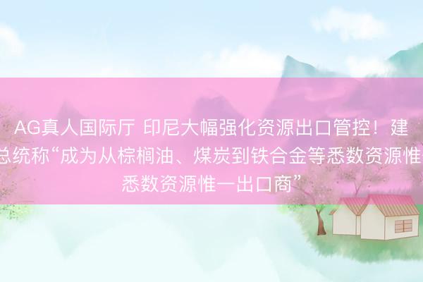 AG真人国际厅 印尼大幅强化资源出口管控！建设国企，总统称“成为从棕榈油、煤炭到铁合金等悉数资源惟一出口商”