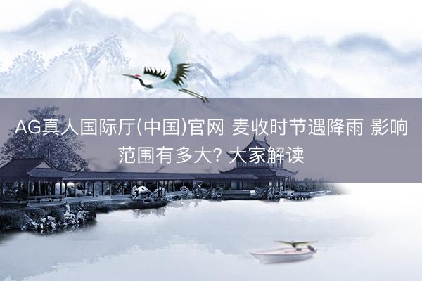 AG真人国际厅(中国)官网 麦收时节遇降雨 影响范围有多大? 大家解读