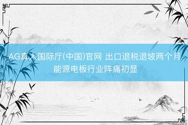AG真人国际厅(中国)官网 出口退税退坡两个月 能源电板行业阵痛初显