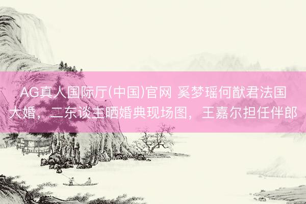 AG真人国际厅(中国)官网 奚梦瑶何猷君法国大婚，二东谈主晒婚典现场图，王嘉尔担任伴郎
