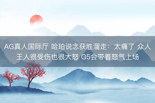 AG真人国际厅 哈珀说念获胜溜走：太痛了 众人王人很受伤也很大怒 G5会带着怒气上场