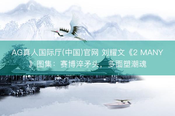 AG真人国际厅(中国)官网 刘耀文《2 MANY》图集：赛博淬矛头，多面塑潮魂